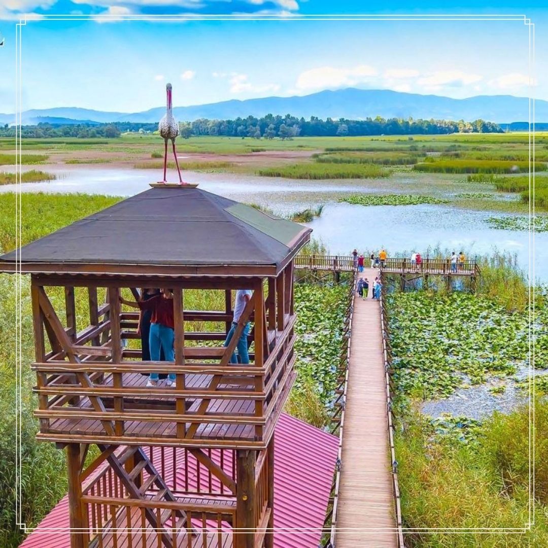 Düzce Şelaleler  ve Efteni gölü 2250 TL