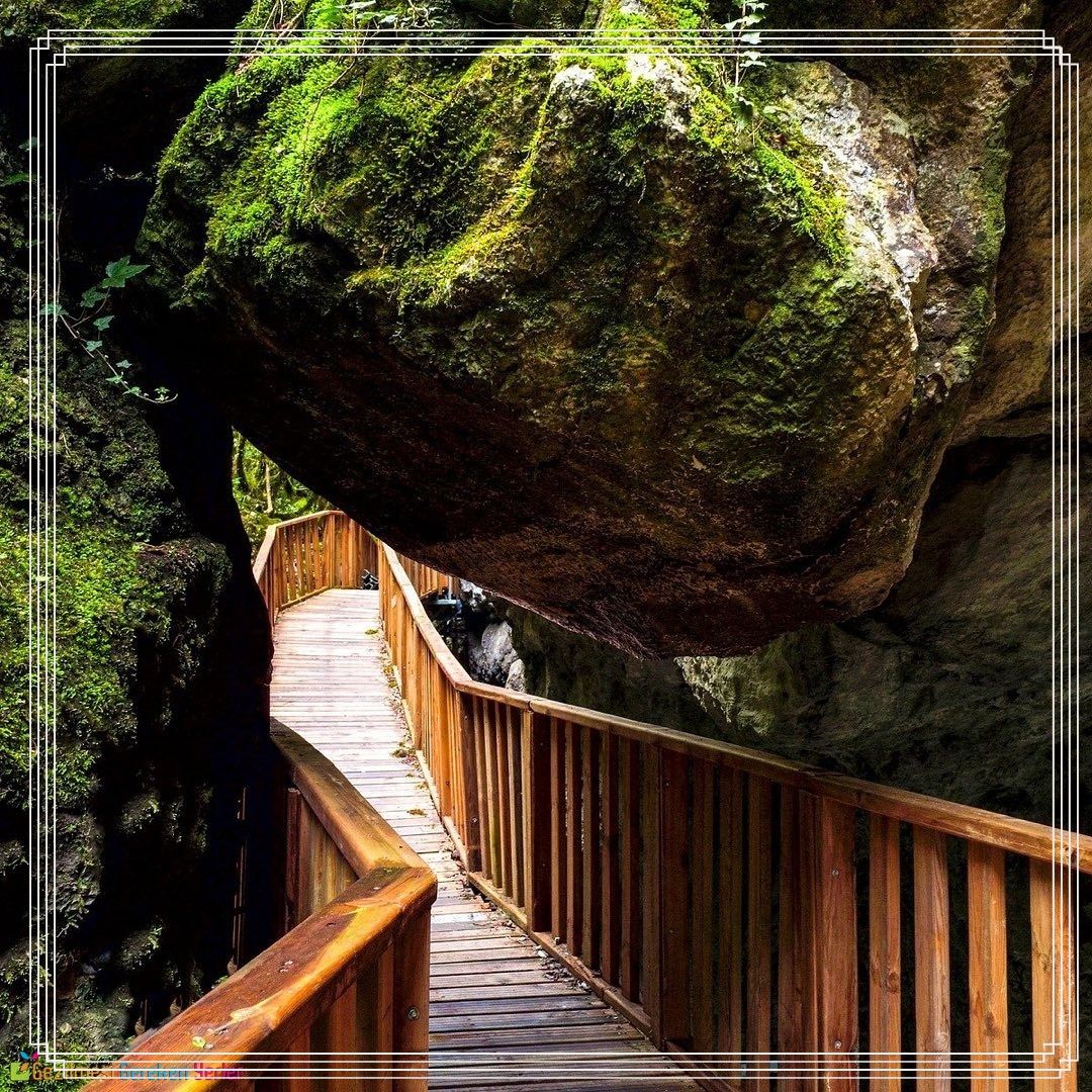 Küre dağları Yöresel yemek dahil 2250 TL