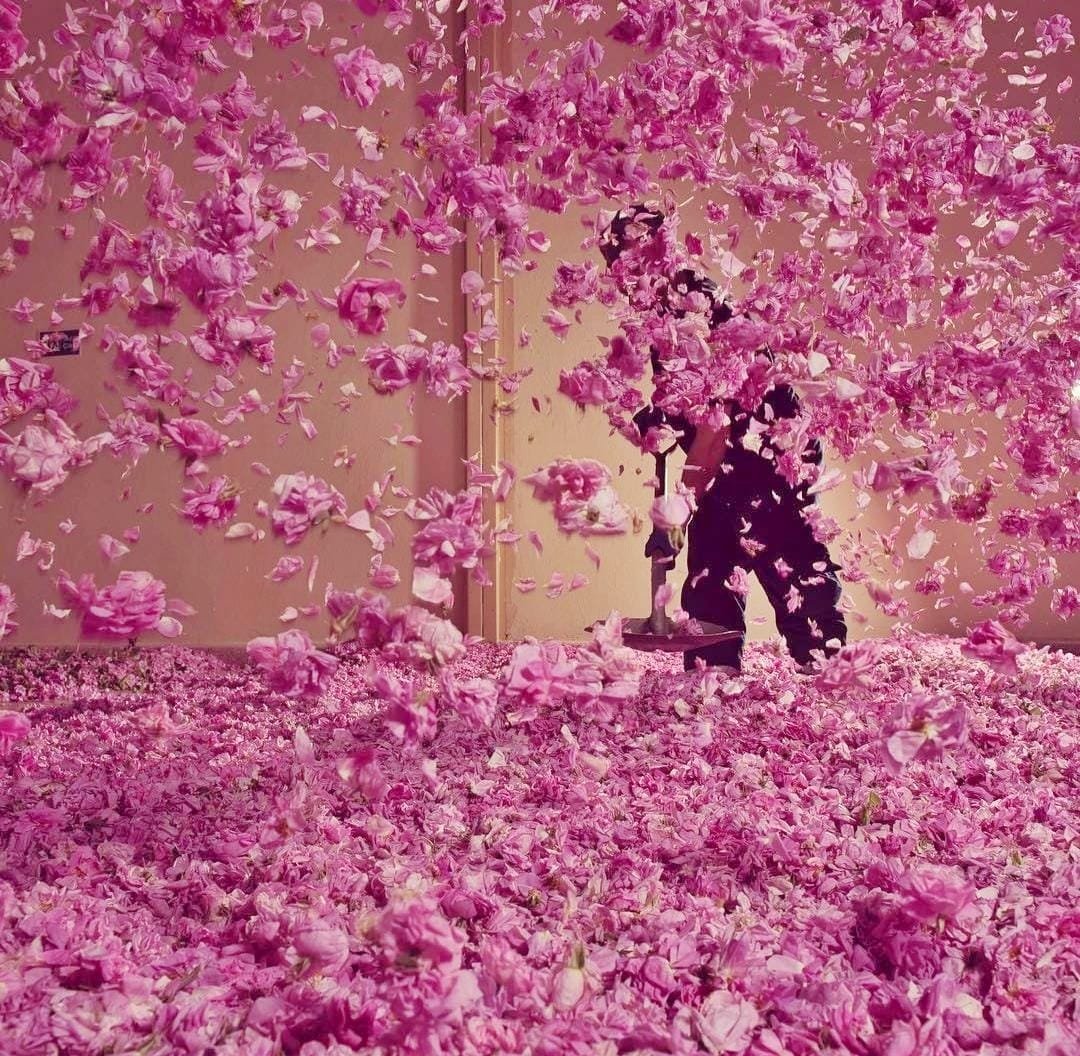 Gül hasadı ve göller 5750 TL